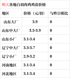 白羽肉鸡苗最新价格动态，变化中的学习助力自信与梦想实现
