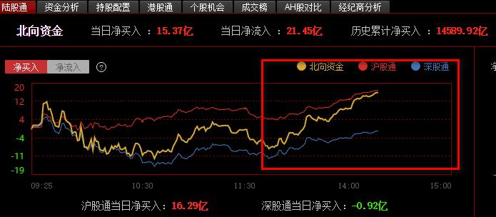 揭秘，603016最新动态消息首度曝光