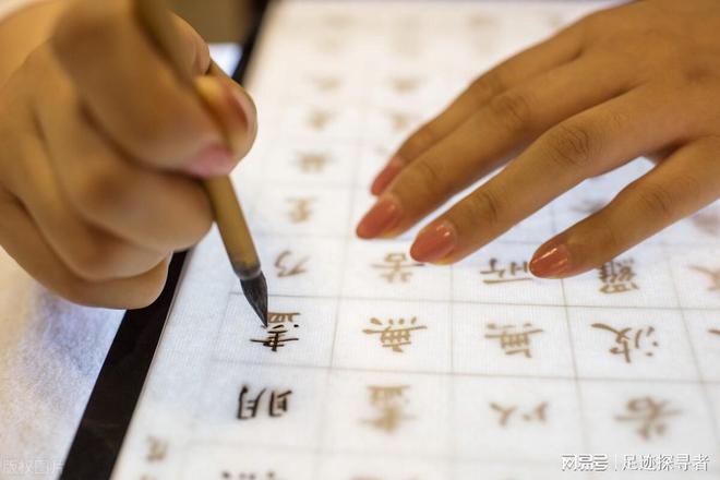 金刚经深度解析视频，启程探索自然美景，内心宁静与平和的追寻之旅