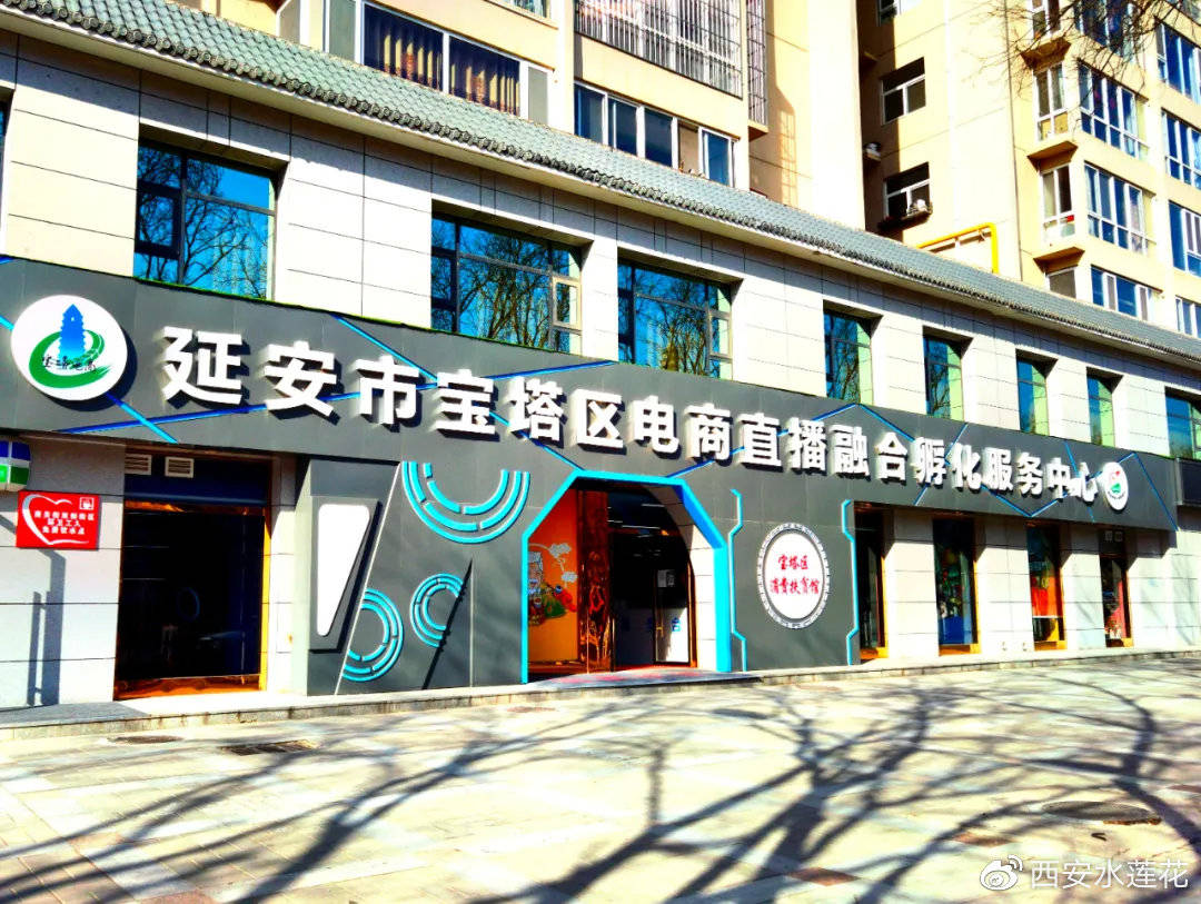 延安宝资讯，追溯历史长河中的璀璨明珠之旅