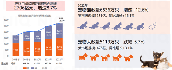 揭秘2025年度最受欢迎宠物题材小说