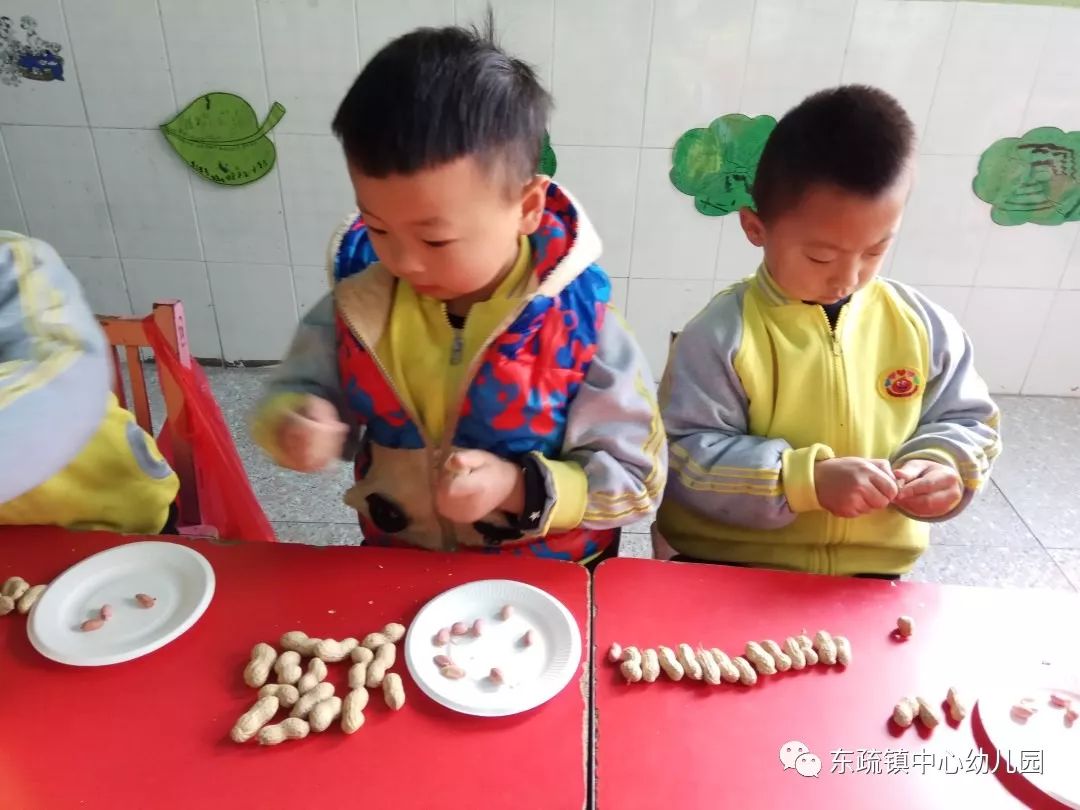 花生比赛，收获与智慧的较量之战