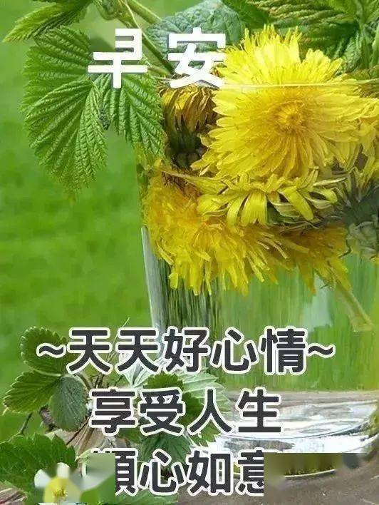 上午好最新，时代新序曲的开始