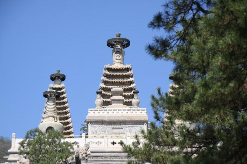 北京最新比例揭秘，巷弄深处的独特小店探访