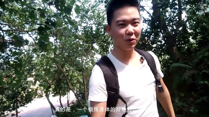 阿洪最新视频，热点聚焦与未知探索的魅力